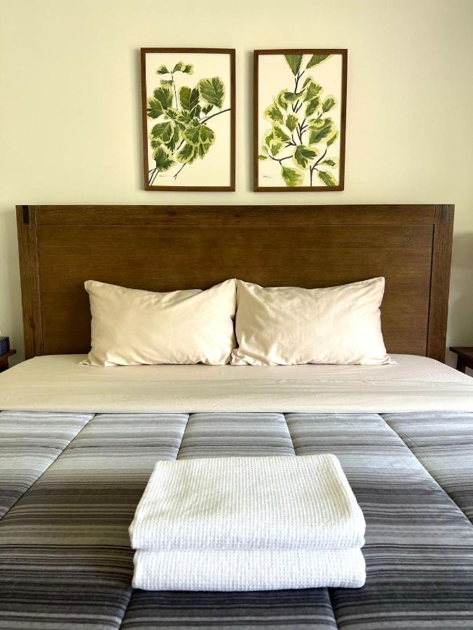 Letitia Heights !g Stylish And Spacious Private Bedroom With Shared Bathroom Séjour chez l'habitant